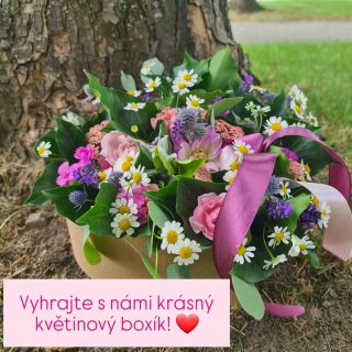 SOUTĚŽ!!! Vyhrajte krásný květinový boxík. Udělejte radost sobě, či učitelce ke konci školního roku. 🌸 Květinku vám osobně...